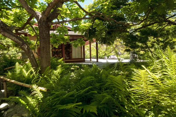 Tranquilo Jardín Japonés de Amistad en el Parque Balboa en San Di —  Fotos de Stock