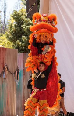 Çin aslanı San Diego Hayvanat bahçesinde gerçekleştirilen gösteri dans