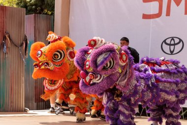 Çin aslanı San Diego Hayvanat bahçesinde gerçekleştirilen gösteri dans