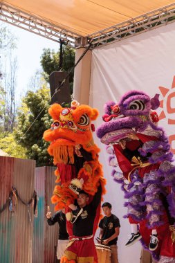 Çin aslanı San Diego Hayvanat bahçesinde gerçekleştirilen gösteri dans