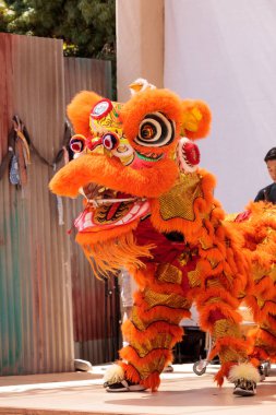 Çin aslanı San Diego Hayvanat bahçesinde gerçekleştirilen gösteri dans