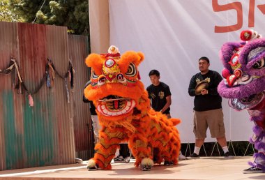 Çin aslanı San Diego Hayvanat bahçesinde gerçekleştirilen gösteri dans