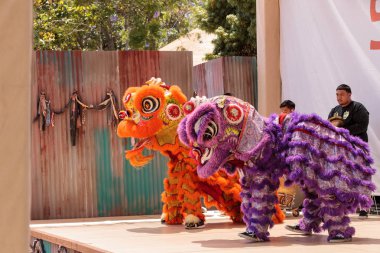 Çin aslanı San Diego Hayvanat bahçesinde gerçekleştirilen gösteri dans