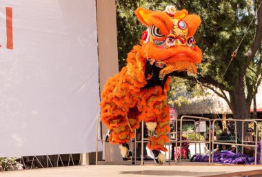 Çin aslanı San Diego Hayvanat bahçesinde gerçekleştirilen gösteri dans 