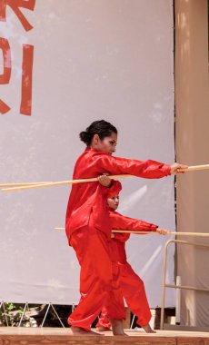 Çin dövüş sanatları gösteri San Diego Zo gerçekleştirilen