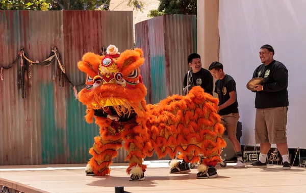 Çin aslanı San Diego Hayvanat bahçesinde gerçekleştirilen gösteri dans