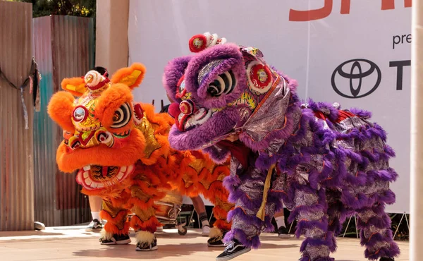 Çin aslanı San Diego Hayvanat bahçesinde gerçekleştirilen gösteri dans