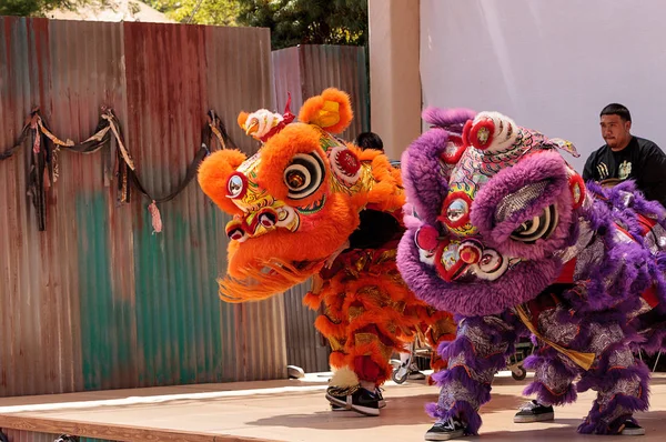 Çin aslanı San Diego Hayvanat bahçesinde gerçekleştirilen gösteri dans