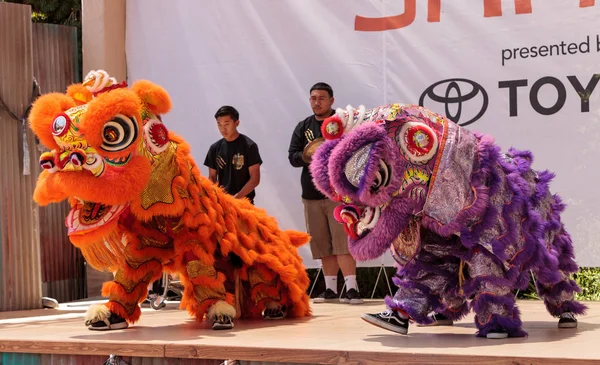 Çin aslanı San Diego Hayvanat bahçesinde gerçekleştirilen gösteri dans