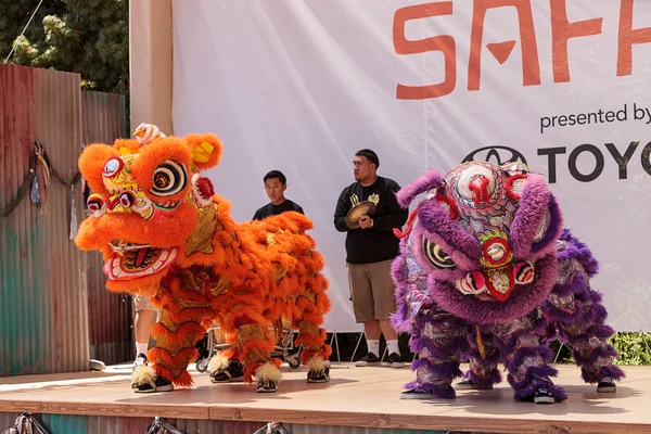 Çin aslanı San Diego Hayvanat bahçesinde gerçekleştirilen gösteri dans