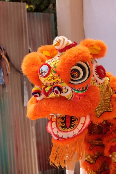 Çin aslanı San Diego Hayvanat bahçesinde gerçekleştirilen gösteri dans