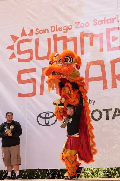 Çin aslanı San Diego Hayvanat bahçesinde gerçekleştirilen gösteri dans