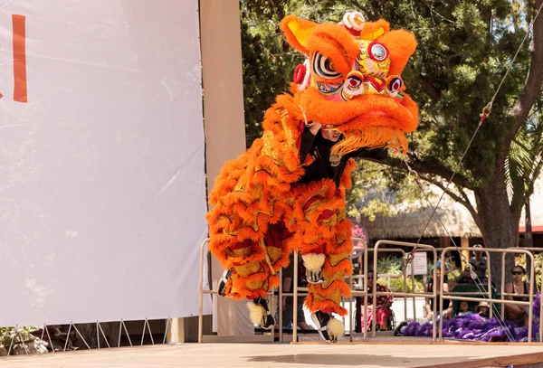 Çin aslanı San Diego Hayvanat bahçesinde gerçekleştirilen gösteri dans 