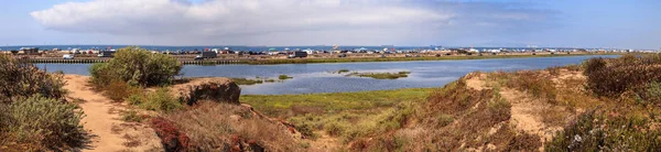 Cesta podél klidné a tiché marsh Bolsa Chica wetlan — Stock fotografie