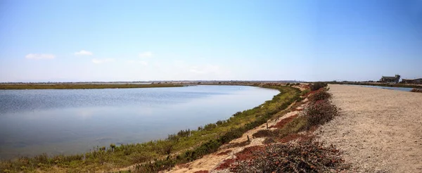 Cesta podél klidné a tiché marsh Bolsa Chica wetlan — Stock fotografie