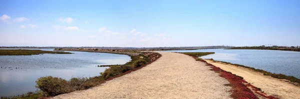 Cesta podél klidné a tiché marsh Bolsa Chica wetlan — Stock fotografie