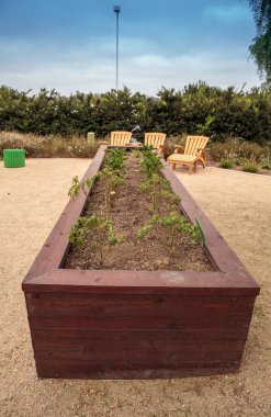 Bir arka bahçe sebze Bahçe kutusunda kaldırdı