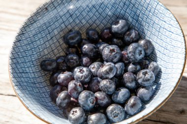Mavi ve beyaz bir kase içinde organik yaban mersini