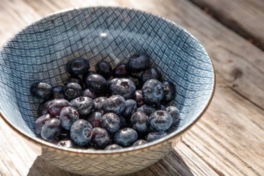 Mavi ve beyaz bir kase içinde organik yaban mersini