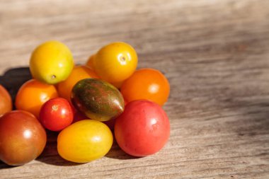 Kırmızı, sarı, yeşil ve mor parlak renkli kiraz domates