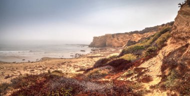 Crystal Cove devlet Plajı'nda Okyanusu içinde sis sürüklenir