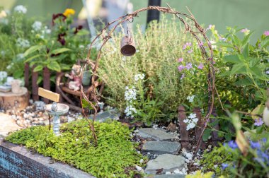 Bir bahçede Bonsai mini Bahçe saksı sahne kurmak