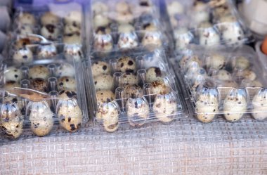 Benekli bıldırcın yumurtası küçük yumurta kasa