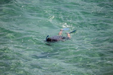 Şnorkel dalgıç sıcak sularda balık arıyorum