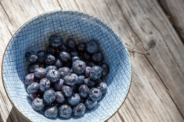 Organic blueberries in a blue and white bowl — Stock Photo, Image