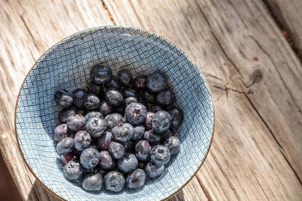 Organic blueberries in a blue and white bowl — Stock Photo, Image