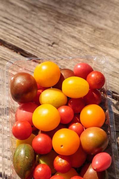 Leuchtend bunte Kirschtomaten in rot, gelb, grün und lila — Stockfoto