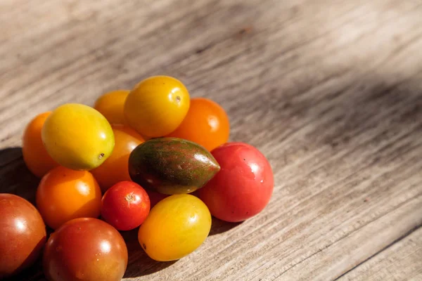 Tomates cherry de colores brillantes en rojo, amarillo, verde y púrpura —  Fotos de Stock