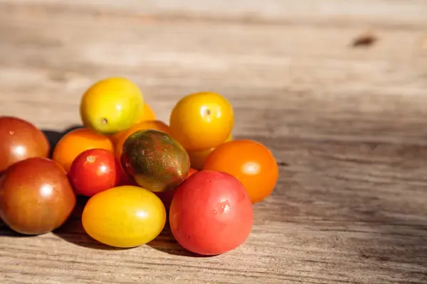 赤、黄色、緑、紫の明るいカラフルなミニトマト — ストック写真
