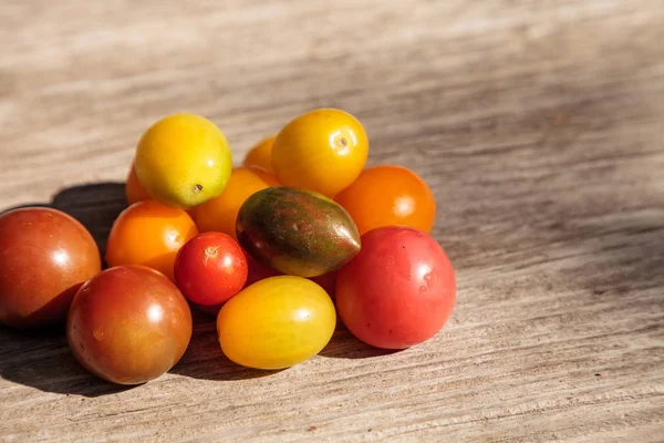 赤、黄色、緑、紫の明るいカラフルなミニトマト — ストック写真