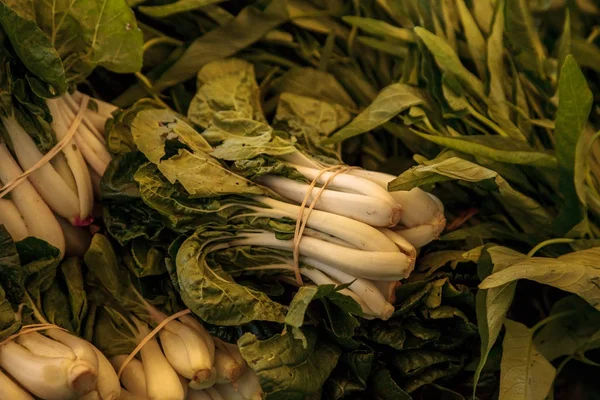 Organic verde cinese bok choy — Foto Stock