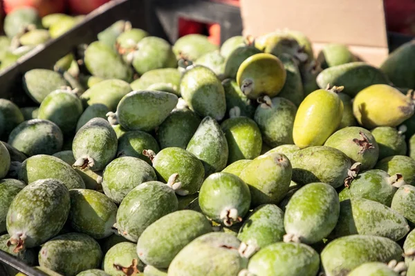 Γκουάβα ανανάς πράσινο σε ένα καλάθι που πωλούνται στην αγορά των αγροτών — Φωτογραφία Αρχείου
