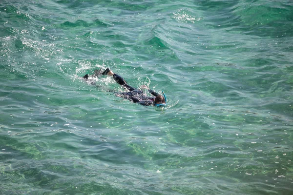 Şnorkel dalgıç sıcak sularda balık arıyorum