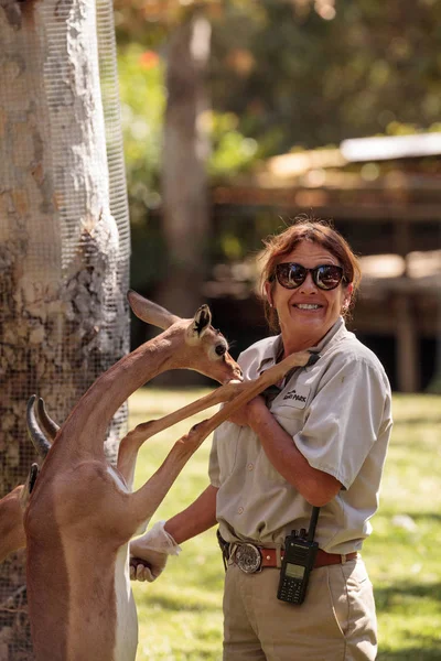 Southern Gerenuk gives a member of the San Diego Zoo Safari park — Stock Photo, Image