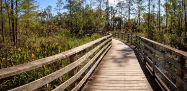 Tirbuşon bataklık Sanctuary Napoli'de Boardwalk yolda