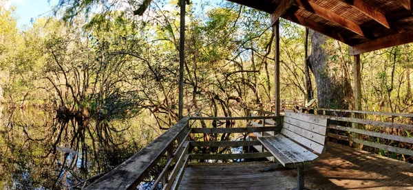 Banco en un paseo marítimo con vistas a los humedales en el pantano de sacacorchos — Foto de Stock