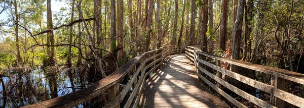 Chodníčcích v Corkscrew Swamp Sanctuary v Neapoli — Stock fotografie