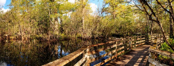 Boardwalk sökväg på Corkscrew Swamp Sanctuary i Neapel — Stockfoto