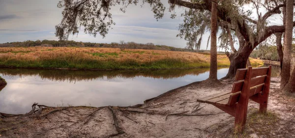 Водно-болотних угідь і марш на Myakka річці State Park — стокове фото