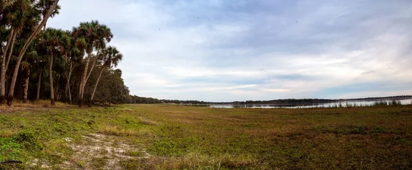 Wetland and marsh at the Myakka River State Park — Stock Photo, Image