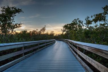 Boardwalk önde gelen deniz tarağı geçişine günbatımında ben bataklık ile