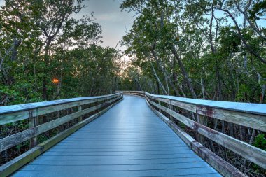 Boardwalk önde gelen deniz tarağı geçişine günbatımında ben bataklık ile