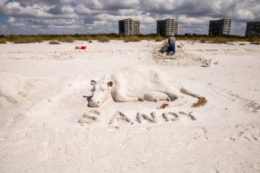 Artisan Sand sculptures of cows and bulls in the white sand of T clipart
