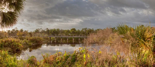 沿着沼泽池塘的木板铺成的桥木板路 — 图库照片
