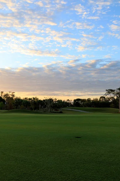 Hierba verde recién cortada al amanecer en un campo de golf tropical — Foto de Stock