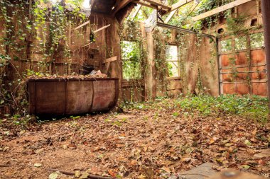 Terk edilmiş bir çiftlikteki harap olmuş at ahırına koş.